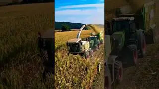 Vw_agro🤩__#fendttractor _#fendtpower _#feedshorts _#containerboer_#maishacken_#maish&auml;ckseln_#viral