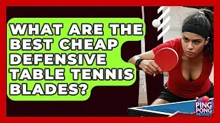 What Are The Best Cheap Defensive Table Tennis Blades? - Ping Pong Prodigy