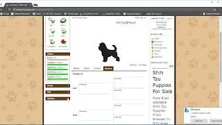 FP Tutorial: Buying and Selling Dogs