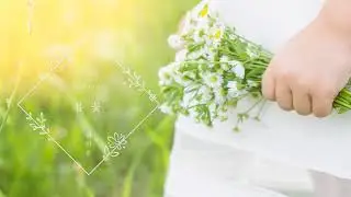 해이준 - 봄꽃 / Hey Joon - Spring Flower
