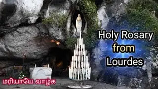 Holy Rosary from Lourdes || English Rosary || 30.07.2025