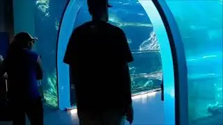 Exploring Winnipeg  Manitoba