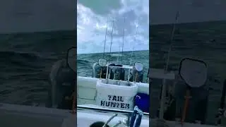 BARCO DE PESCA EM ALTO MAR #shorts #bhfyp #pesca #fishing