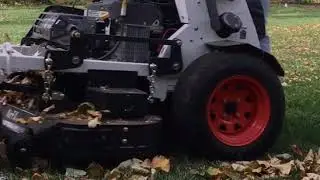Bobcat Zs4000