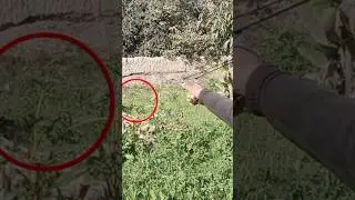 Slingshot Target Hitting|Plant Target with Slingshot|Slingshot Aiming|