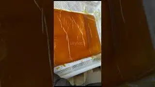Drytech heat pump dryer use to drying mango puree, mango puree dehydrators