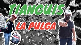 TIANGUIS LA PULGA, DINOSAURIOS, JUGUETES Y MÁS...