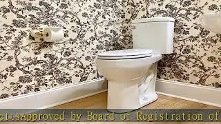 20 inch Extra Tall Toilet. Convenient Height bowl taller than ADA Comfort Height. Dual flush, Metal