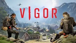 VIGOR