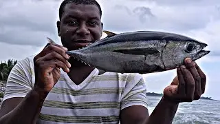 Insane Barracuda & Tuna Fishing – Ocean Mayhem