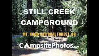 Still Creek Campground, Mount Hood National Forest, Oregon
