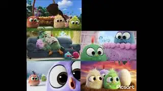 All Angry Birds ￼￼￼￼￼movie hatching messages played at once!