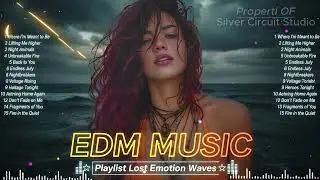 Late Night Melodic EDM Heartbreak Tears Emotional Future Drop ft Armin van Buuren Illenium