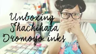 Распаковка чернил Шачихата Иромойо