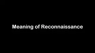 What is the Meaning of Reconnaissance | Reconnaissance Meaning with Example