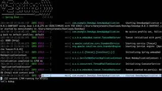How To Debug Remote Java or Spring Boot WebApplication In IntelliJ?