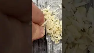 Thinnest Hazelnut Cutting #shorts #knifeskills #satisfyingasmr