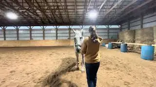 T&J Showmanship Series Aug 2025 class: Nina Baldwin and Lacey