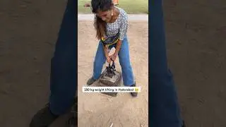 250 kg utha sakte ho? In Golconda Fort 😨 #hyderabad #golconda #weight #viral #shorts