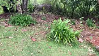 Seychelles Heritage site, Venn's town Mission ruins