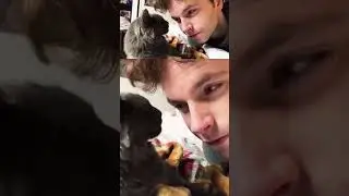 #cat #kitten #funny #animals #catslover #funnyanimal #cats #catbond #catlover #catvideos #love