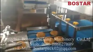 Automatic bakery bread burger bun packaging line