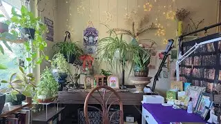 Tarot Reading Space Tour & August Decks