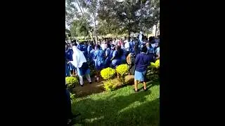 What viral video of kmtc nursing students twerking😲😲