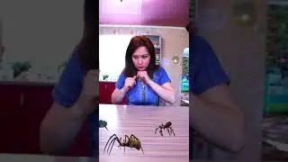 OMG What was it? #shorts Funny video by YELLOWIKI