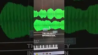 HOW WE MADE THE REAL STRINGS FOR THE SCORCH PLUGIN! 🔥 #producer #vstplugins
