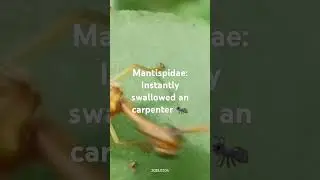 Amazing: How fast!!