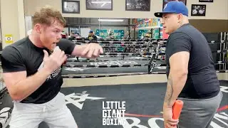 CANELO TRAINING TO KNOCK OUT CALEB PLANT SAVAGELY DRILLING COMBINATIONS AND COUNTER ATTACKS