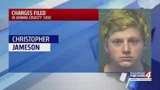 Metro teen faces animal cruelty charges