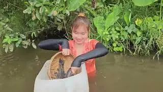 Digging a hole to catch a snake while catching fish is full of surprises