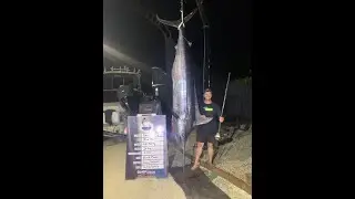 First Blue Marlin For 22\23 Game season NZ