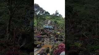 Nimo