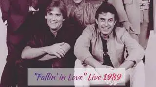 Fallin' in Love Live 1989 Cassette Recording Hamilton, Joe Frank & Reynolds