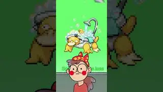 💛 PSYKOKWAK 💛