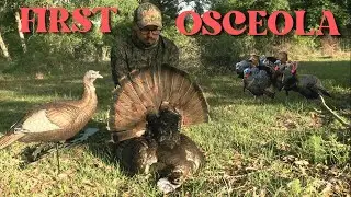 Turkey Hunting Quiet South Florida Toms