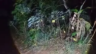 Live Misteri Malam Ini !! Cari Hantu Gentayangan