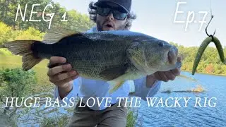 Fishing COLD Morning For Big Largemouth And Smallmouth Bass!!!-PART 7 (New England GIANTS) 