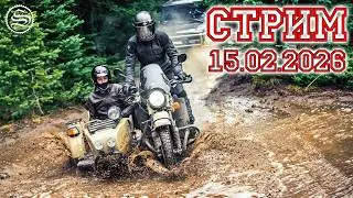 Стрим 15.02.2026