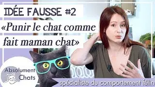 pourquoi il ne faut pas punir son chat