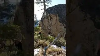 Assfull of Manzanita (V7) | Tahoe