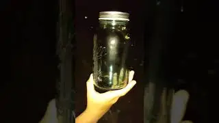 Lighting bugs in a jar