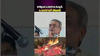 Rajababu Chittibabu #ytshorts #viral #trendingshorts #entertainment #love #acting #action #babuvega
