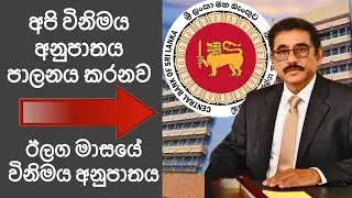 Foreign exchange | Central Bank | Next month prediction