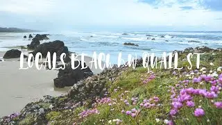 Locals Beach NW Quail St Seal Rock, Oregon