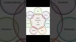name the major newtrients in our food 6th class  questions  #education #viral #shorts