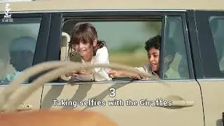 4 Things to do in Al Ain Safari🐾